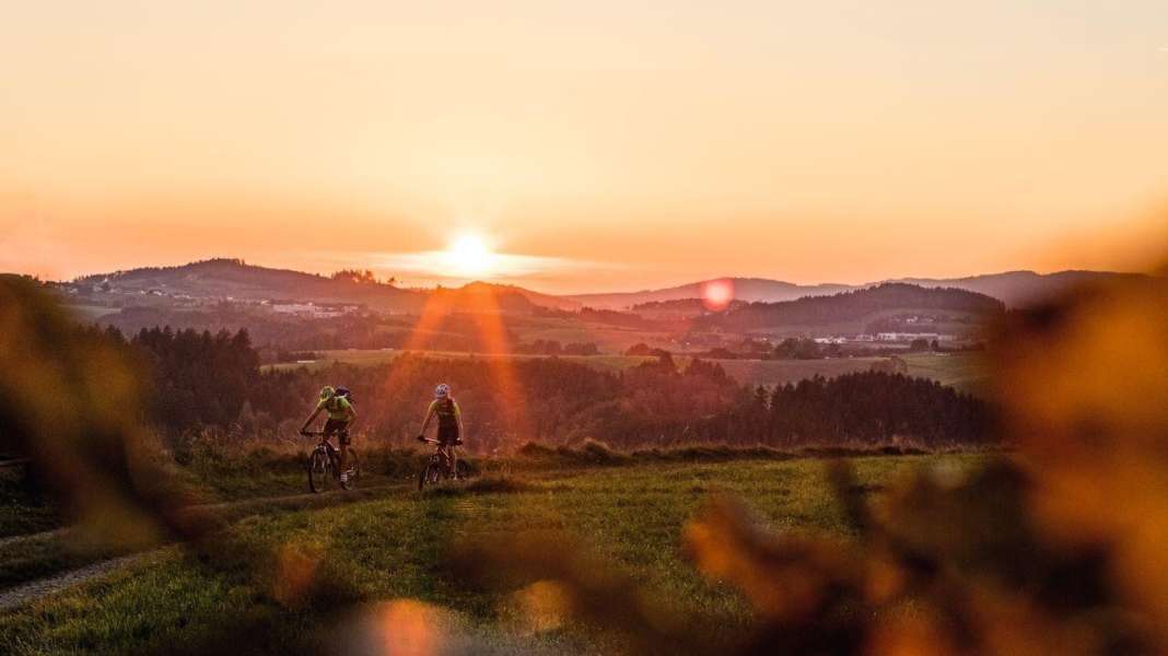 Root paths and MTB trails in the land of granite bikers