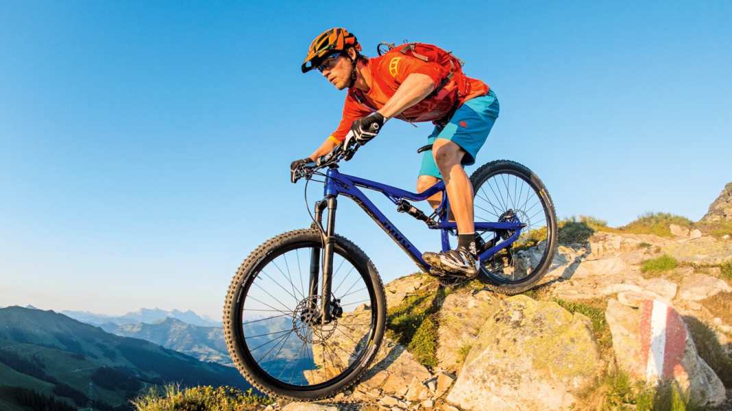 All Mountain: Rose Root Miller 1 on test