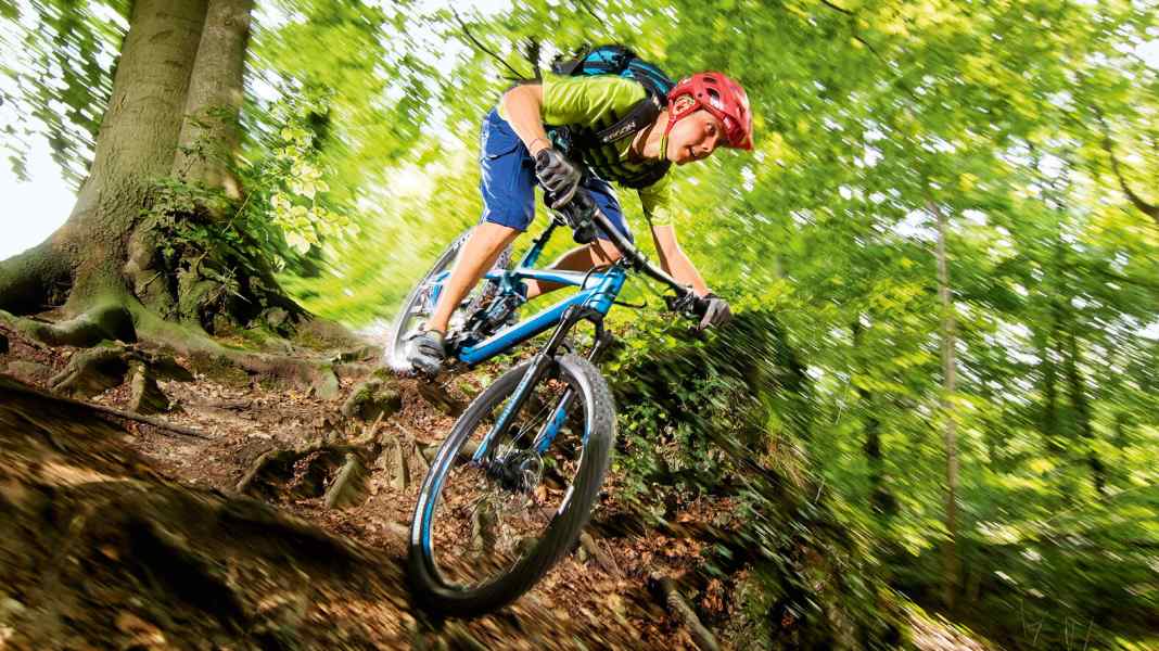 All Mountain: Bergamont Trailster 6.0 im Test
