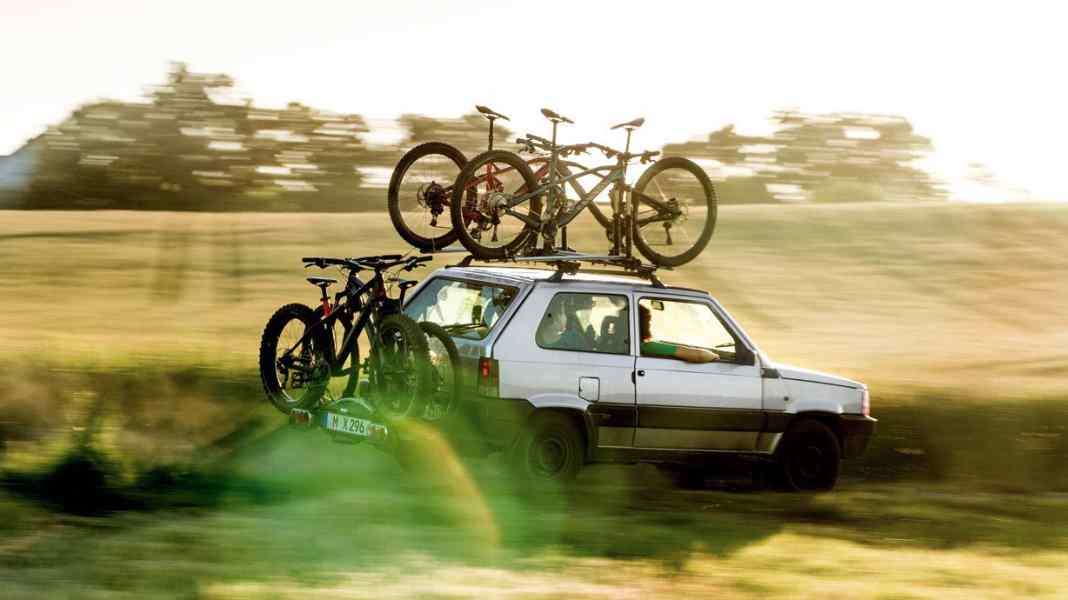 11 bike carriers for tailgate and coupling in the test