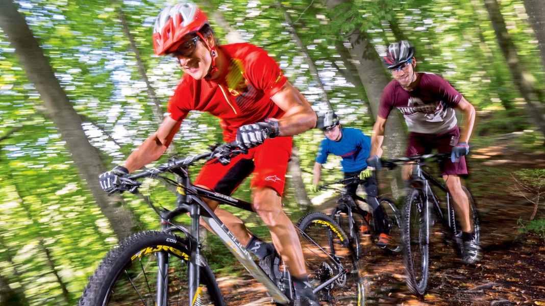 Test of 3 hardtails up to 1400 euros from direct mail order companies