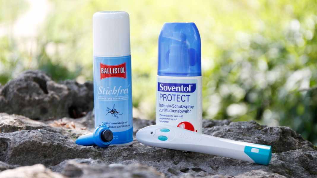 Insektenabwehr: Gegen das Jucken - Tipps gegen Mückenstiche