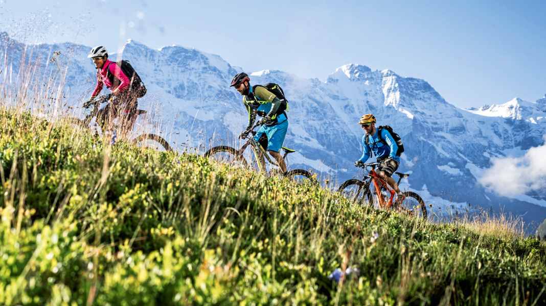 So finden Sie garantiert das richtige Bike!