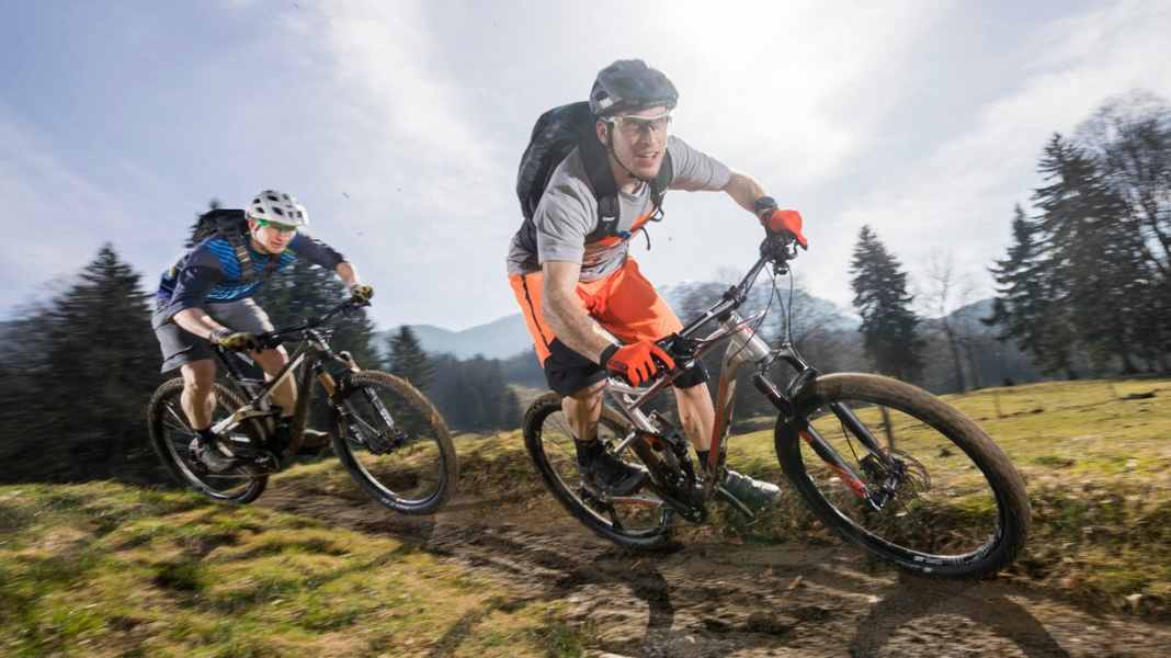 Die 20 besten Bikes aus allen Testgruppen