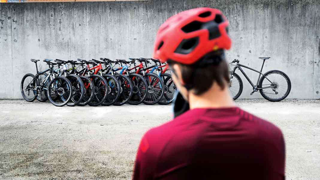 Hardtails: How much bike can you get for 800 euros?