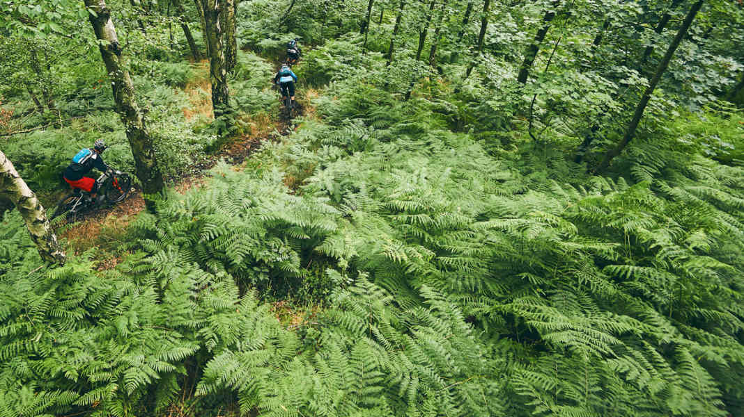 The best mountain bike spots in the centre of Germany