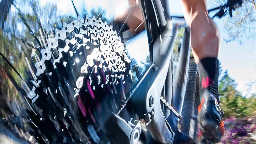 Biss am Bike: Was können diese 11fach-Kassetten?