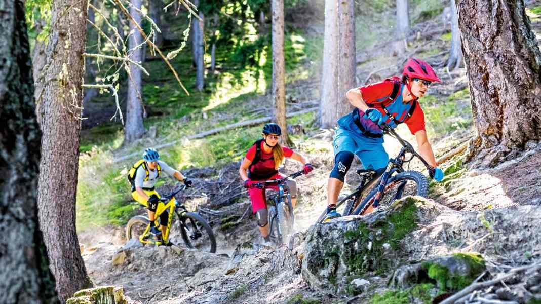 Rigid rear, powerful suspension: 8 hardtails on test