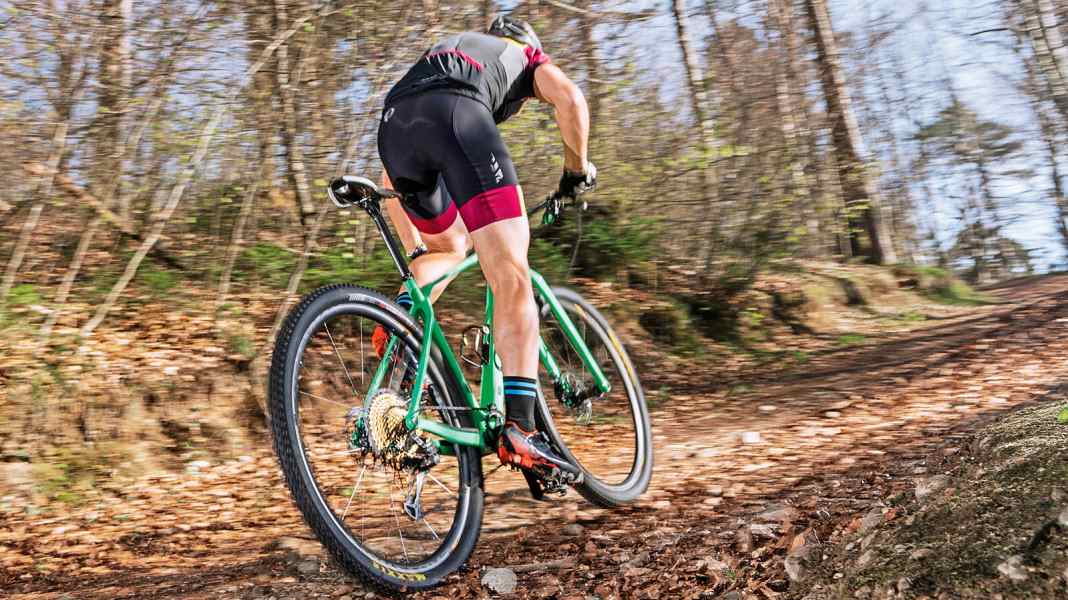 Hardtail: Orbea Alma M-LTD on test