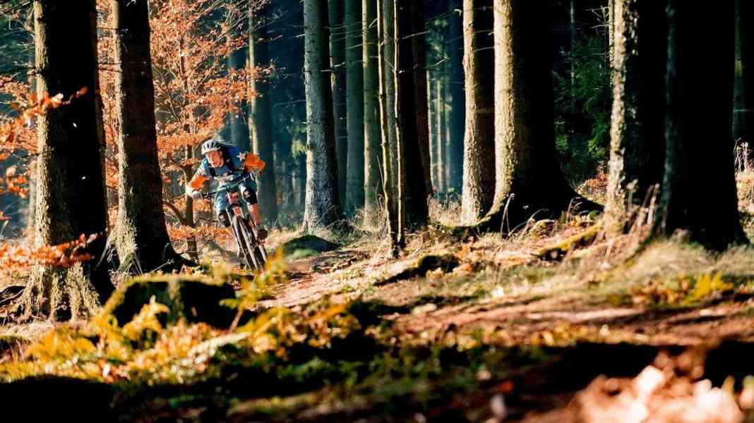 Small but mighty: the Deister trails