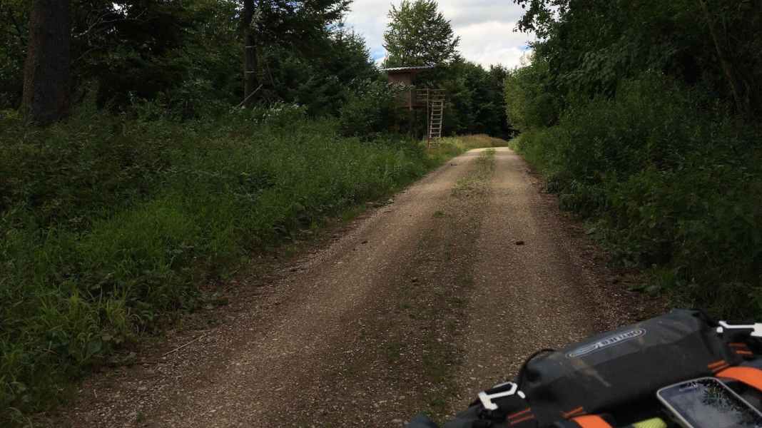 Waldbesitzer verklagt Mountainbiker und verliert