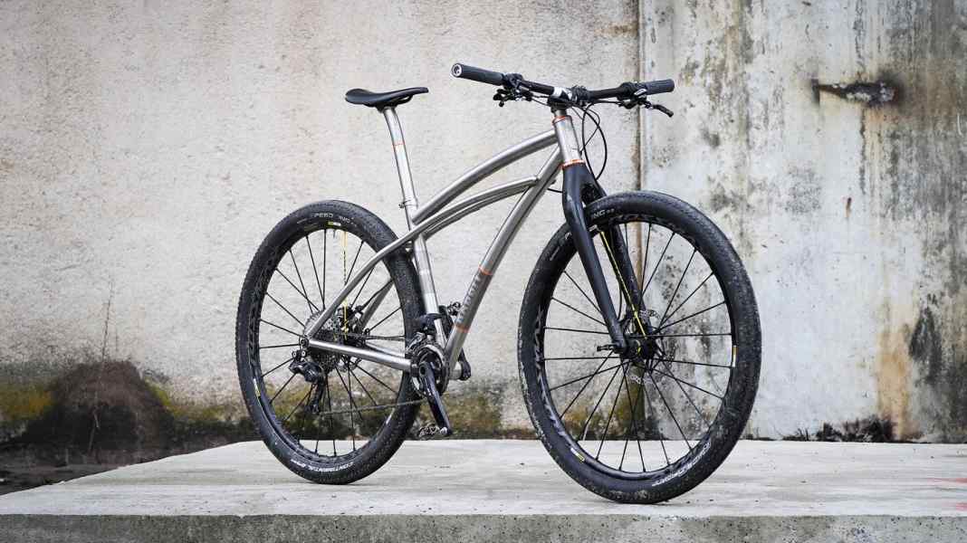 Already ridden: Rabbit Cycles MTB 29er Cruiser