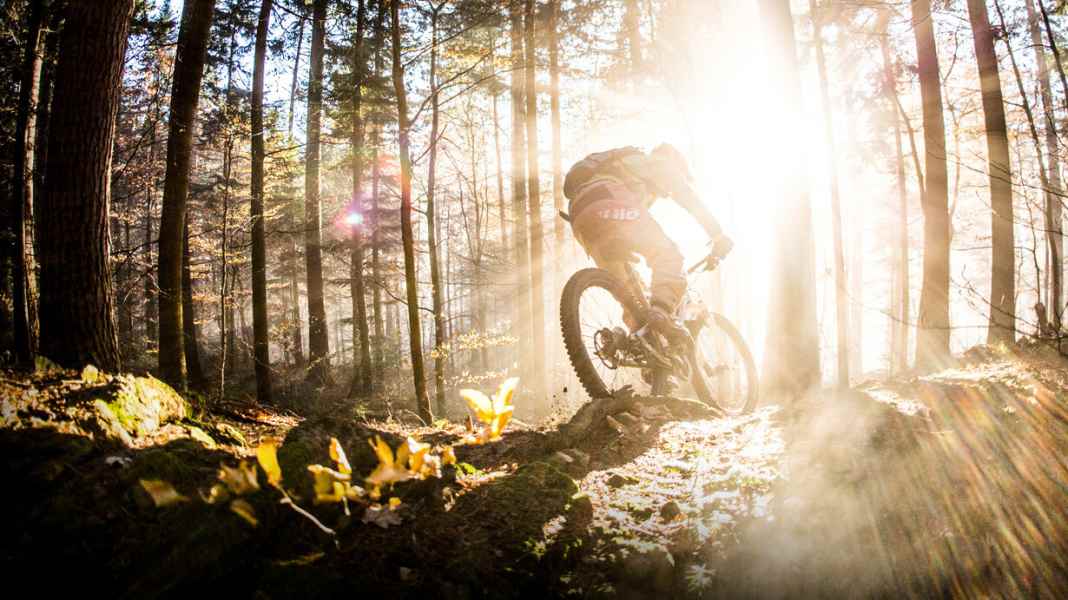 MTB trails in the western forests around Augsburg