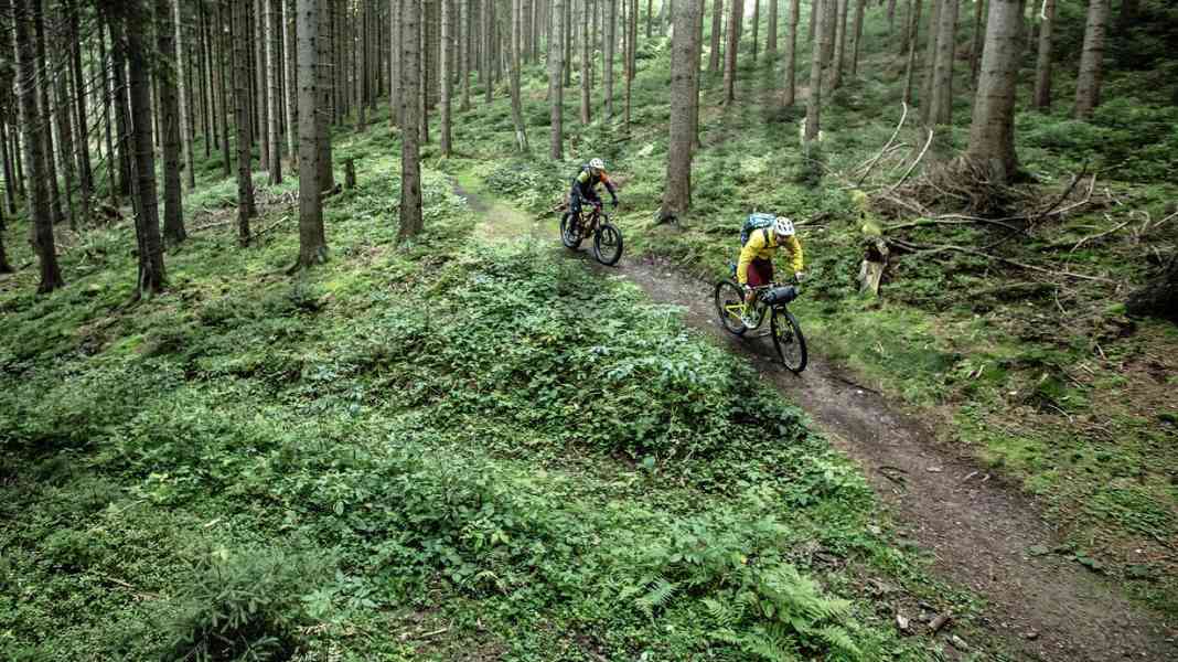 MTB trails in the wild Thuringian Forest