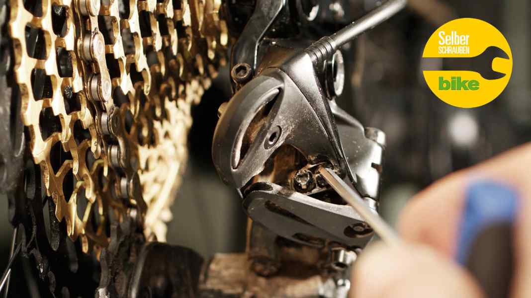 TECHNIK: Anleitung: Sram 1x12-Schaltung einstellen