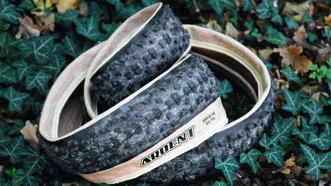 Correction: Maxxis Ardent Skinwall in BIKE 2/2019