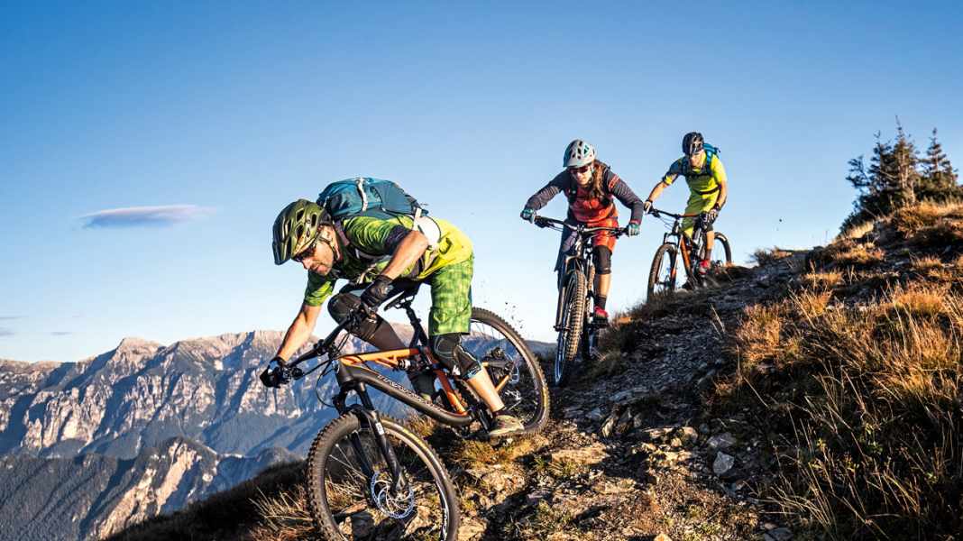 Transalp Bikes Signature 2 in the BIKE test