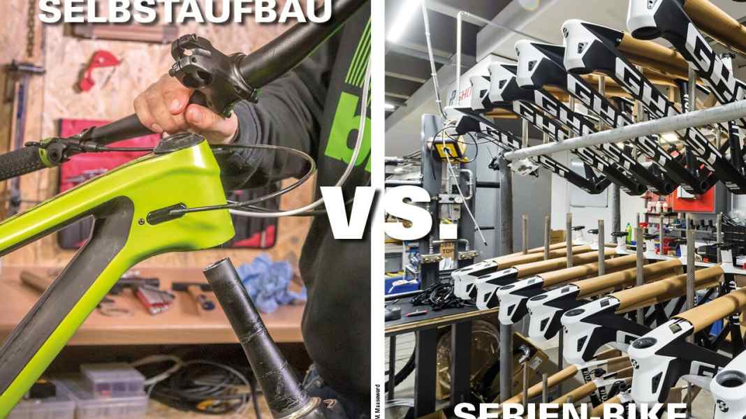 Build your own bike or buy a standard bike?