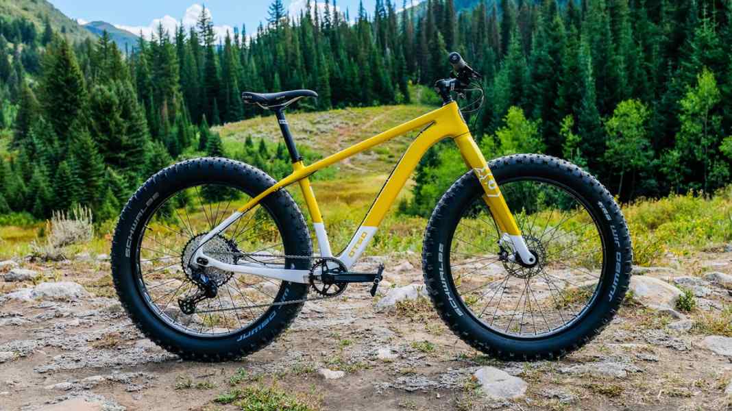 Full fat: 11 cool 2020 fat bikes