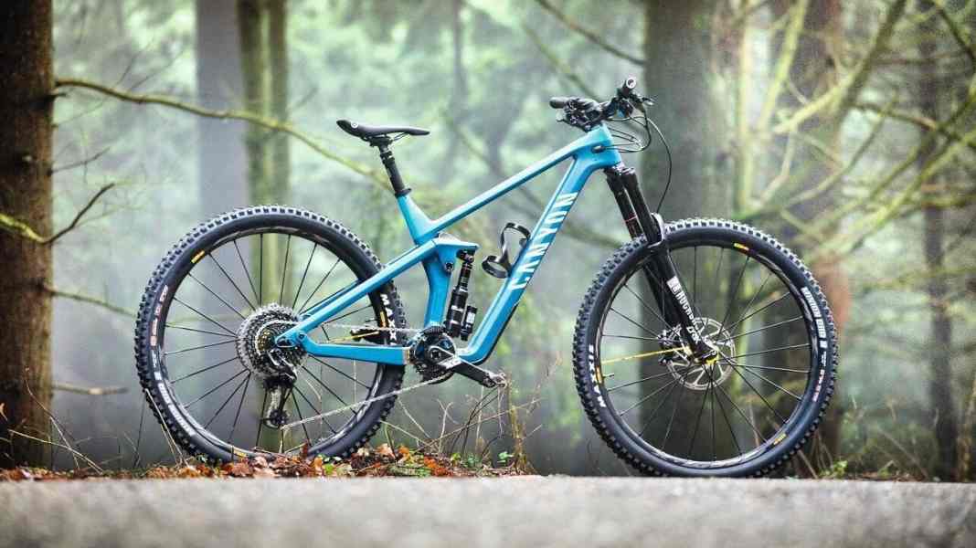 Canyon-Enduro Strive CFR 9.0 Team 29" im Test