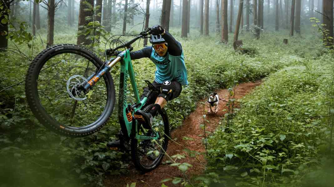 "Paws & Wheels II" und "Doggystyle"
