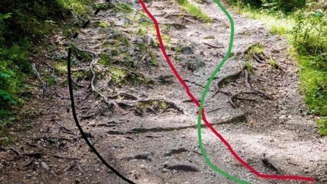Check it: The right line with the bike off-road