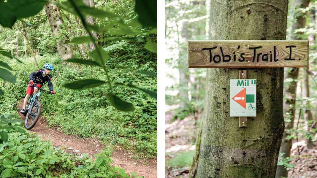 Top-Trails im bayerischen Spessart [Download GPS-Daten]