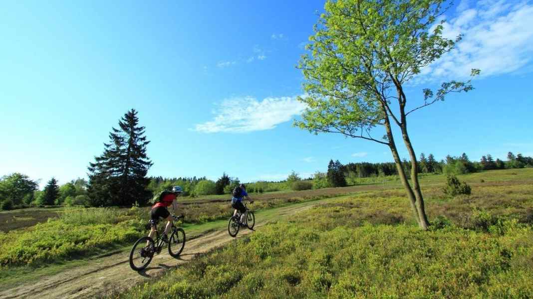 Seven MTB tours across German low mountain ranges