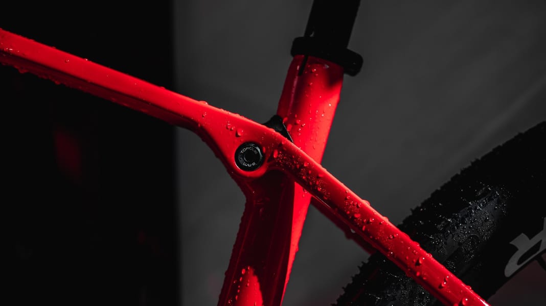 From 1750 euros: the new Trek Procaliber hardtail