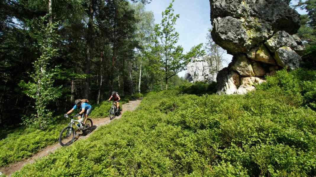 Deutschland: Bayerischer Wald mit dem Mountainbike