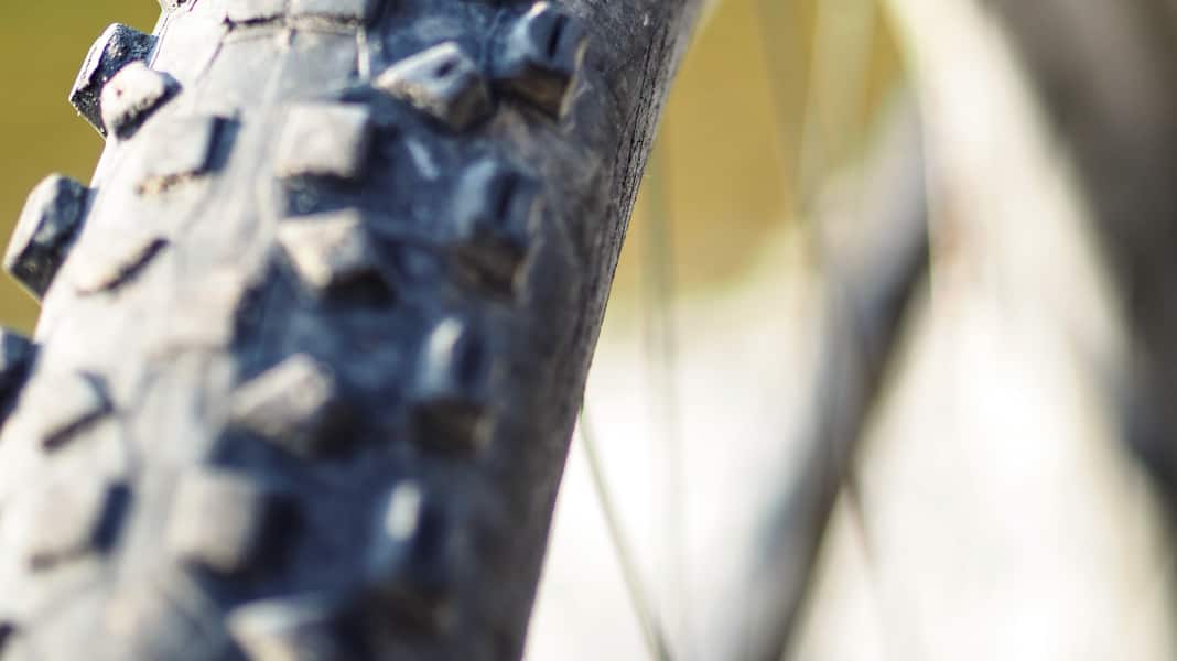 Hintermann: Schwalbe Hans Dampf im Praxistest