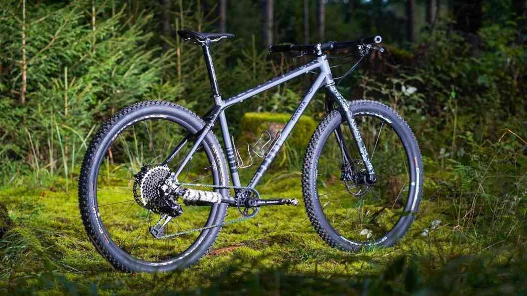 Grauer Star: "Call it Punk!"-Patria im Pegoretti-Style
