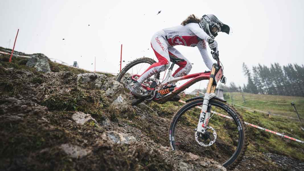 Queen of the mud: Swiss Balanche - Judge 6.