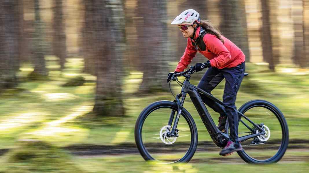 E-Hardtail Radon Jealous Hybrid 9.0 im Test