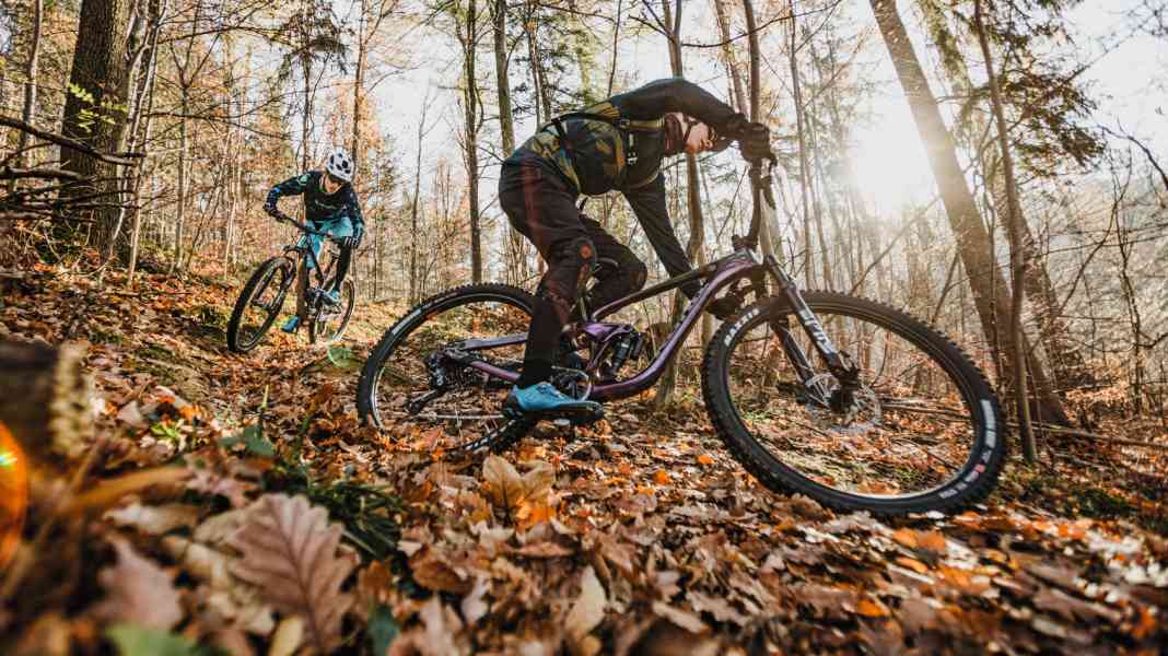 Alpha bikes: The top models from Giant and Kona