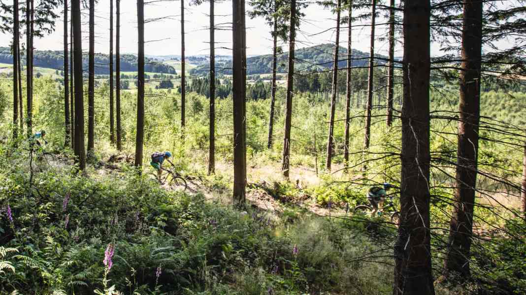 Mecca for mountain bikers: the Sauerland