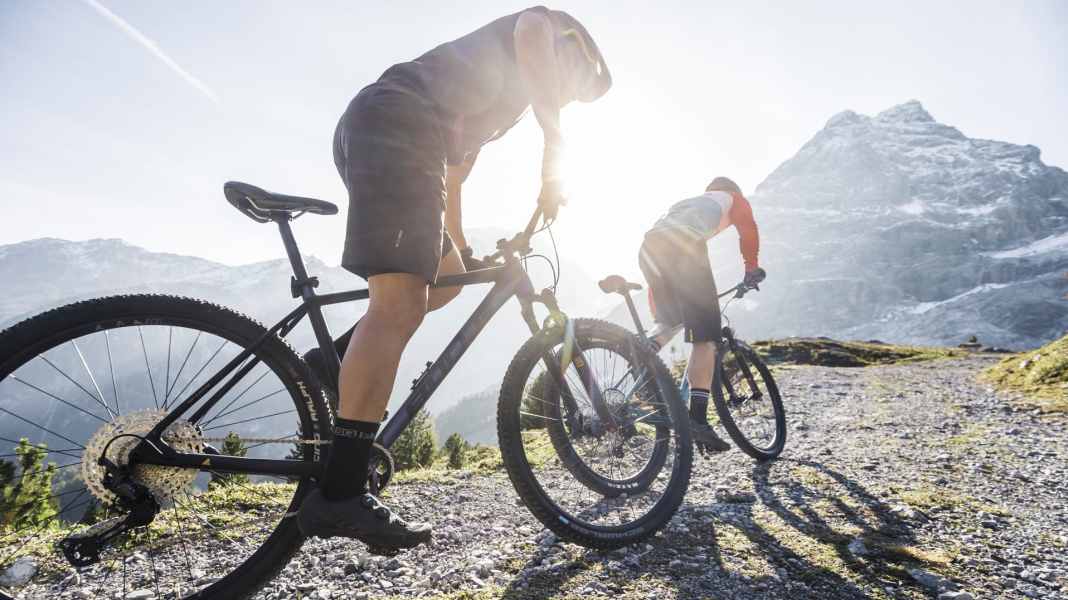 Wer baut das beste Einsteiger-Mountainbike 2021?