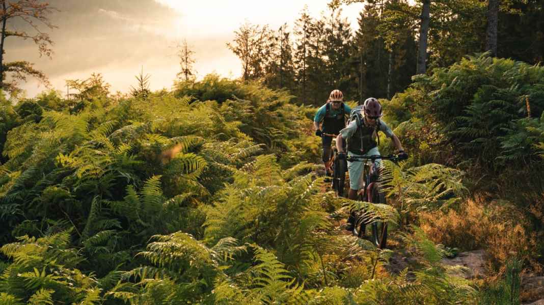 Top spot for E-MTB gourmets in the northern Black Forest