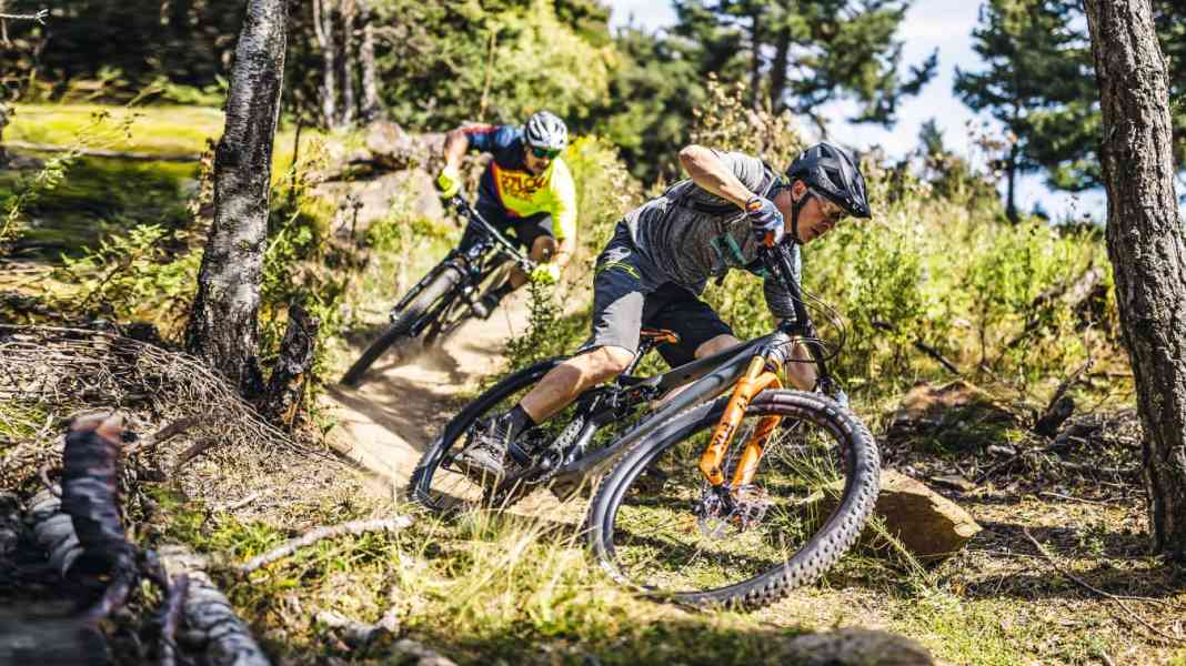 Comparison of 6 down-country bikes from 3799 euros