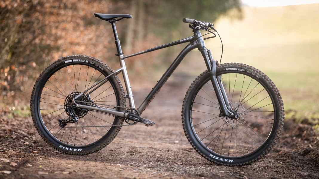 Cannondale Trail SE: Abfahrtsspaß für 1600 Euro