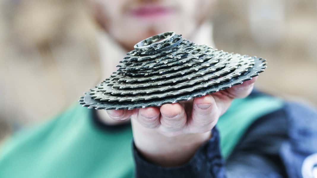 Cost trap wear and tear: Replacement parts for your bike