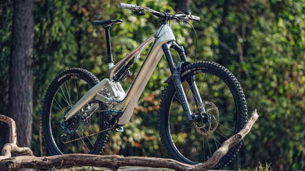 Der neue E-Downhiller: Pole Voima