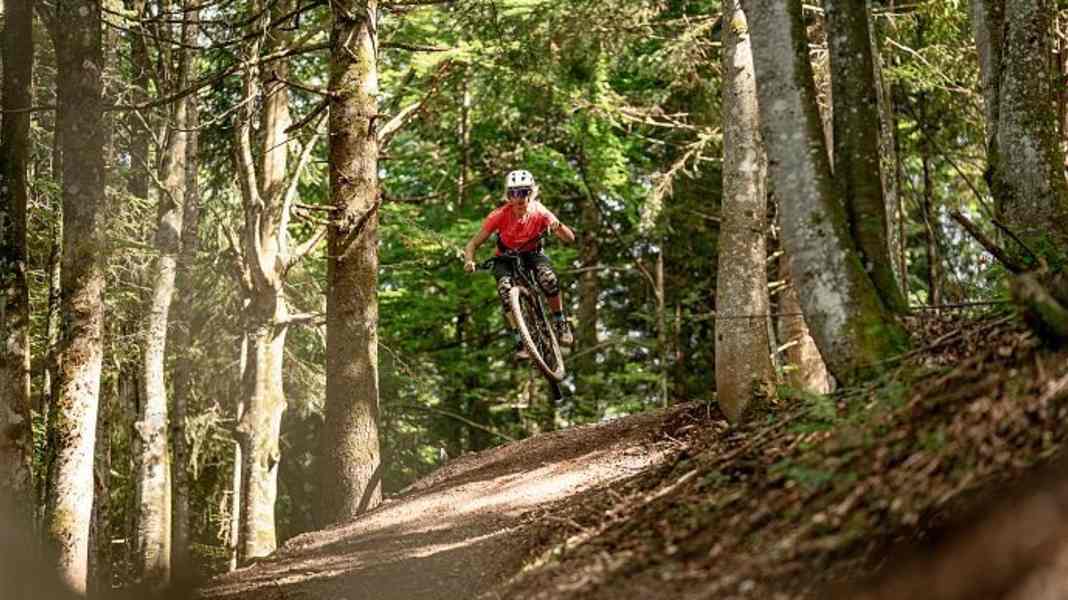 Neuer Flowtrail in Fieberbrunn