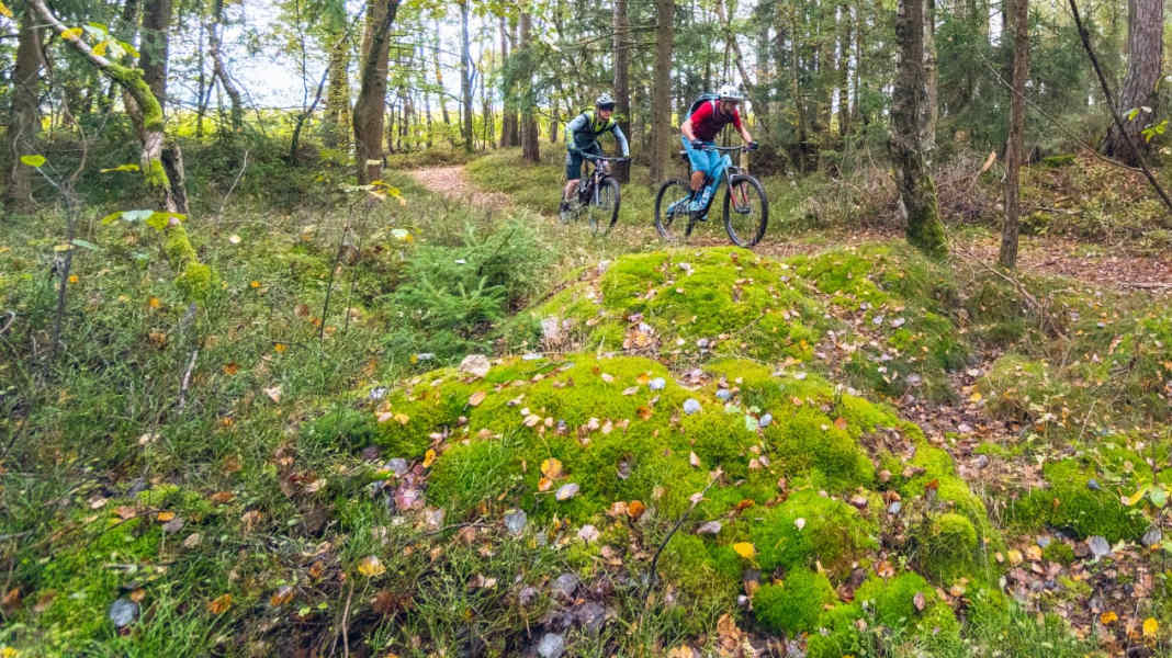GPS-Daten zur 3-tägigen Trans-Bayerwald