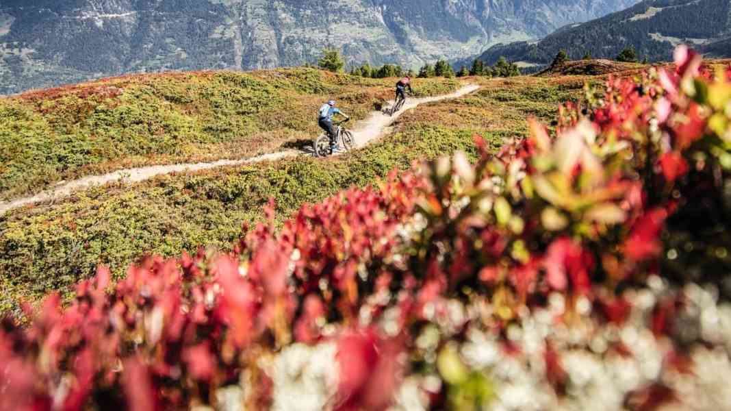 Col de Mille: Trail-Schmankerl an Mont-Blanc-Panorama