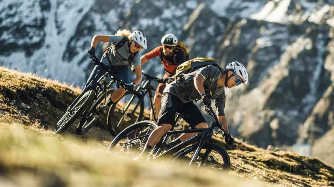 Comparison of 7 sporty hardtails for beginners