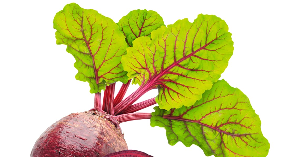 Tricks with vegetables: adding power to your training plan