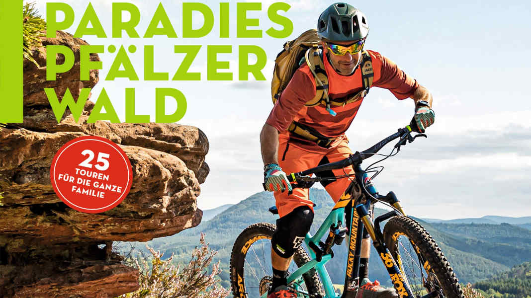 Palatinate Forest mountain bike paradise