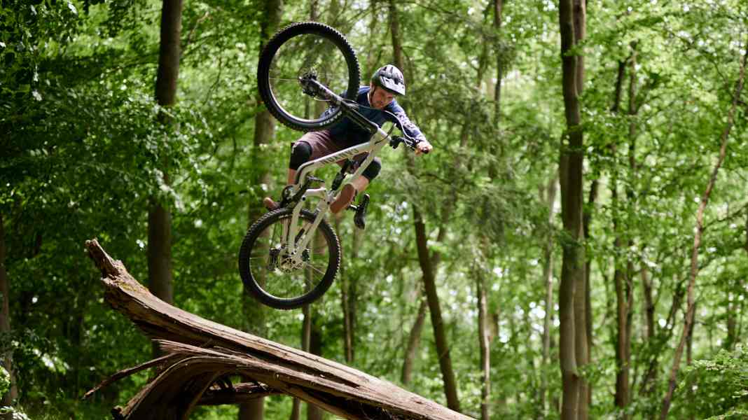 Interview with forest expert Peter Wohlleben: Do bikers kill trees?