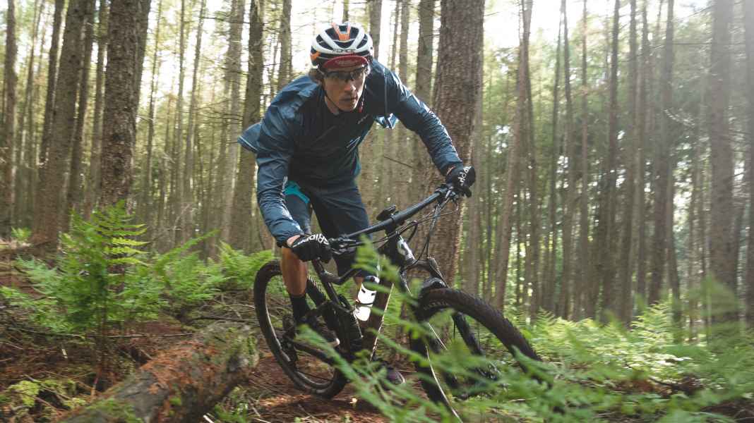 Federal Forest Act 2024: NaBu wants to ban mountain bikers from trails